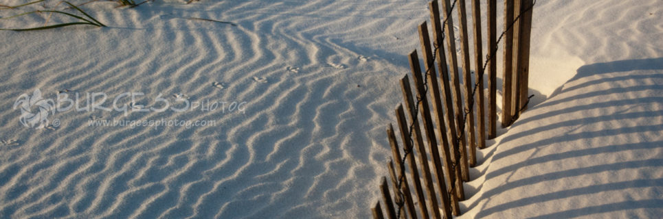 Shadows Across The Dunes; The afternoon sunset casts dramatic shadows across the sand dunes of the Gulf Islands National Seashore, along the northern shores of the Gulf of Mexico, near Pensacola Florida; photo by Charles Burgess; www.burgessphotog.com; Commercial – Conceptual -Lifestyle – Photography; All Rights Reserved.
