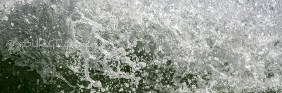 As a wave crashes ashore, the water shatters into an intricate pattern of crystal lace.Shore breaking waves during a spring tide. photo by Charles Burgess, of BURGESS photog; www.burgessphotog.com; All Rights Reserved.